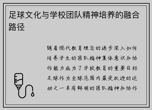 足球文化与学校团队精神培养的融合路径